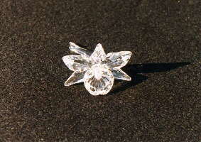 fruitflower2b.jpg (11708 bytes)